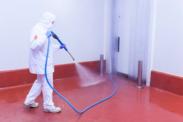 Best Window and Screen Pressure Cleaning in Tainter Lake, WI